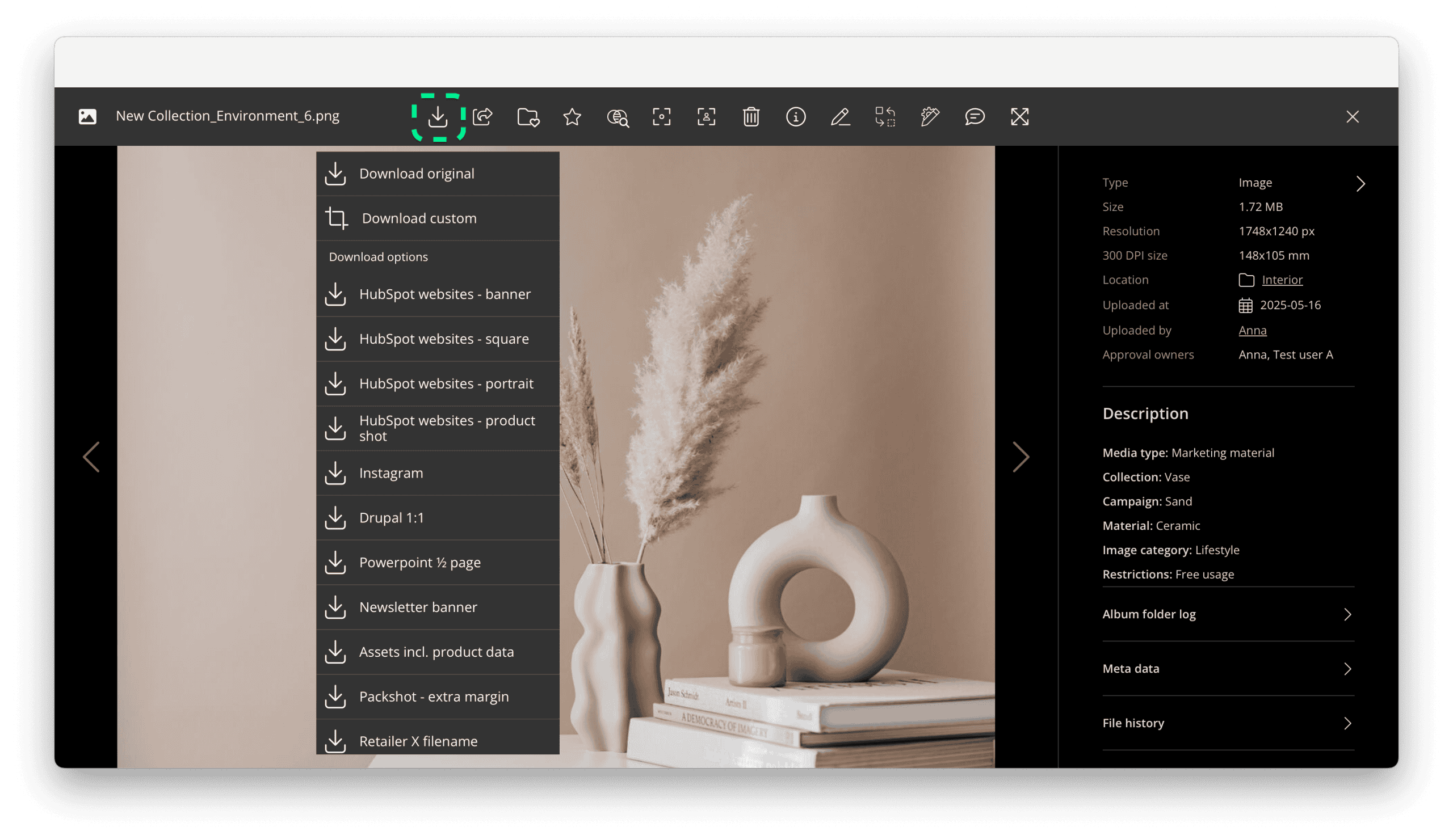 Image in Kontainer gallery mode with the drop-down download options menu