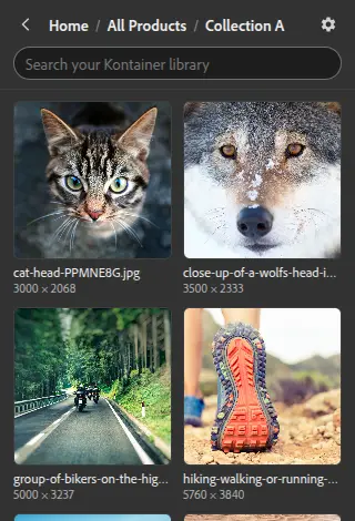 Das Add-on Kontainer Asset Picker zeigt die Bilder in einem Kontainer-Ordner
