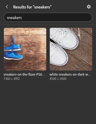 Suchergebnisse für sneakers im Add-on Kontainer Asset Picker